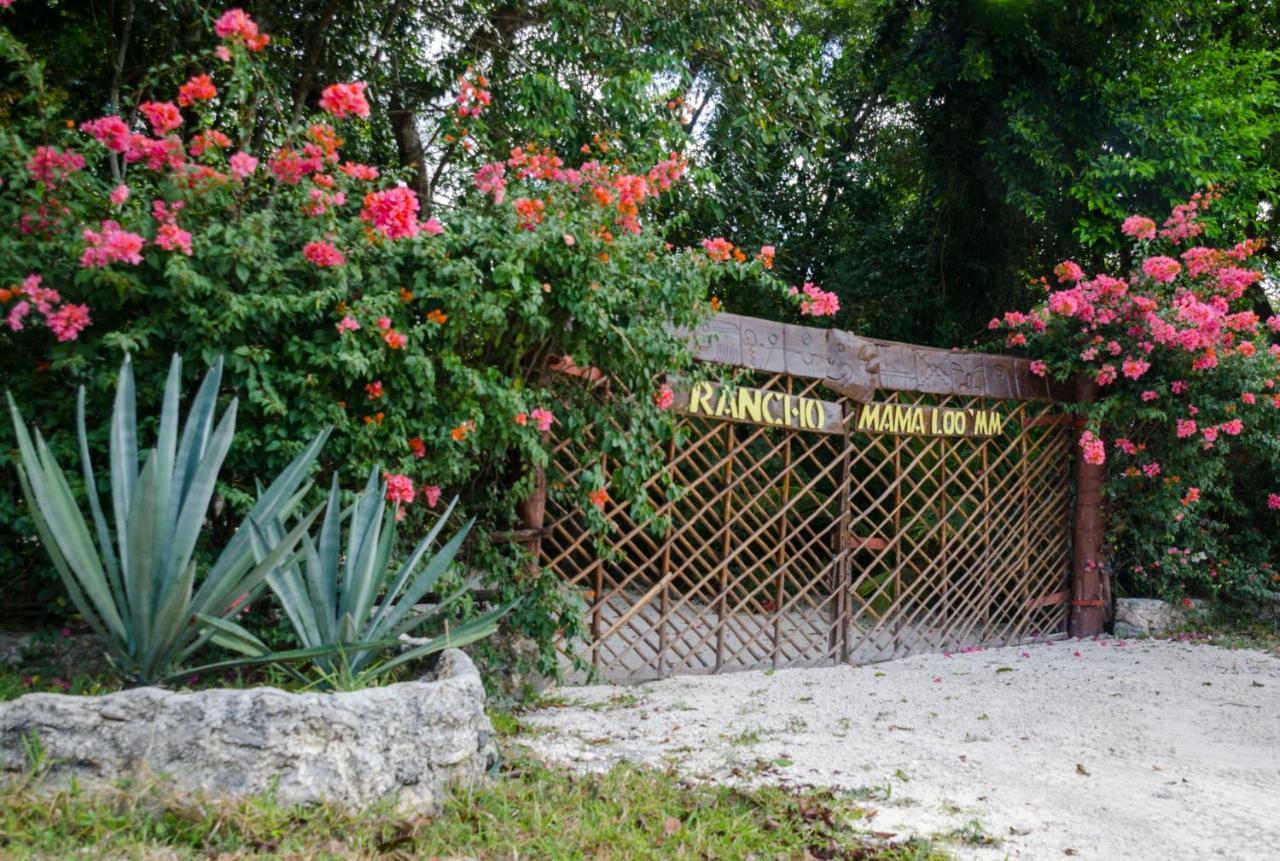Rotamundos Mama Loomm Hotel Playa del Carmen Ngoại thất bức ảnh