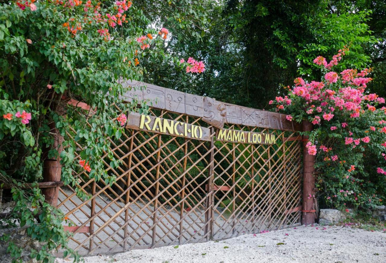 Rotamundos Mama Loomm Hotel Playa del Carmen Ngoại thất bức ảnh