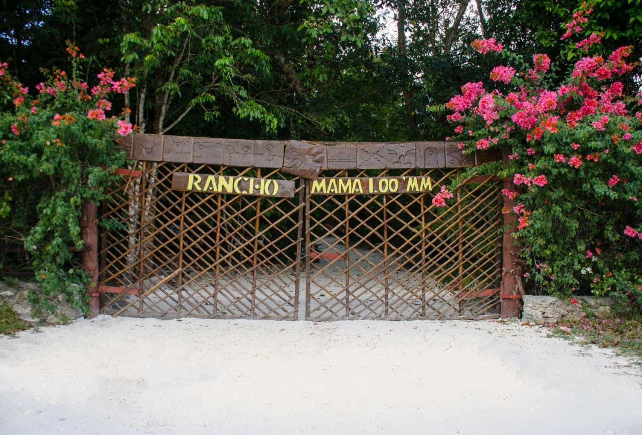 Rotamundos Mama Loomm Hotel Playa del Carmen Ngoại thất bức ảnh